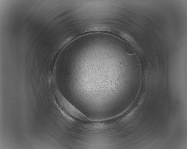 X0000067840841200604201239