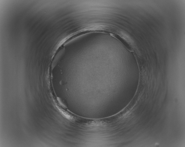 X0000067840842200604201239