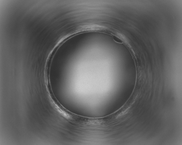 X0000067840843200604201239