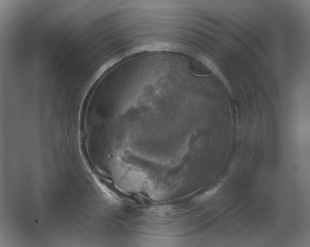 X0000067840845200604201239