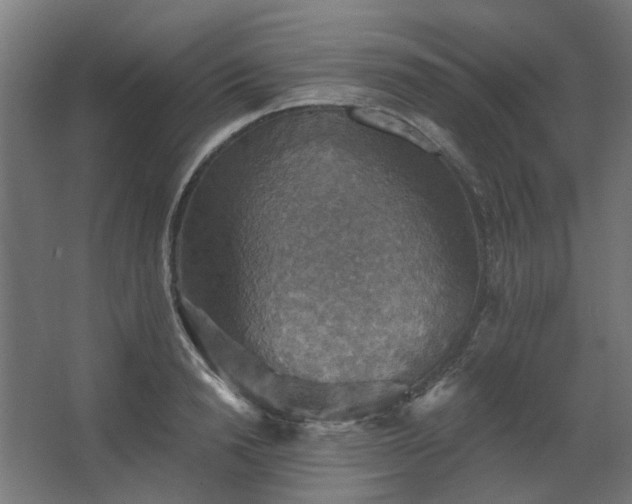 X0000067840846200604201239