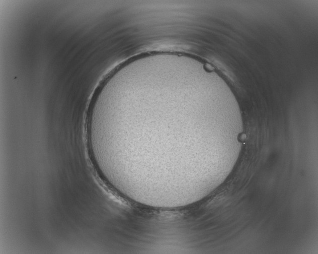 X0000067840848200604201239