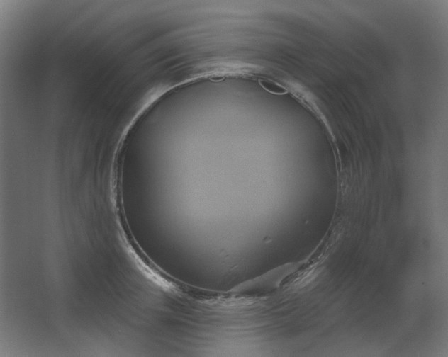 X0000067840851200604201239