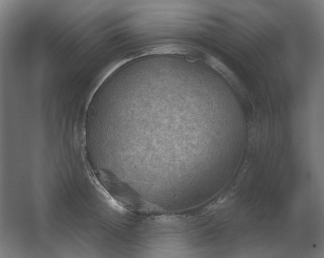 X0000067840852200604201239