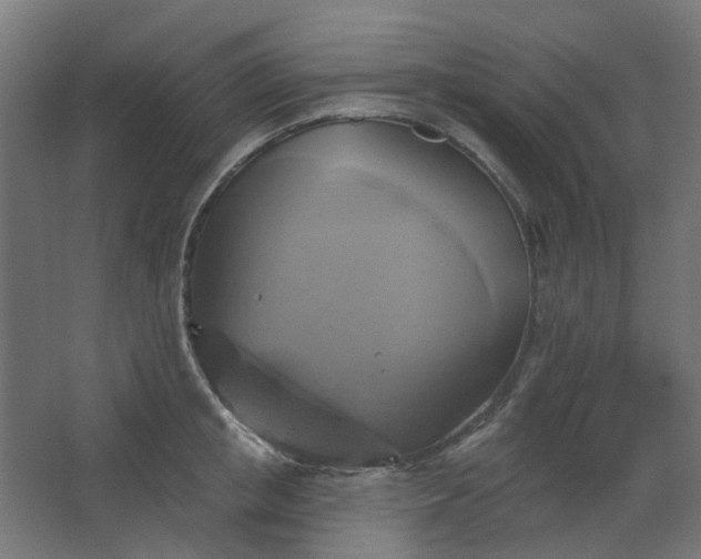 X0000067840853200604201239