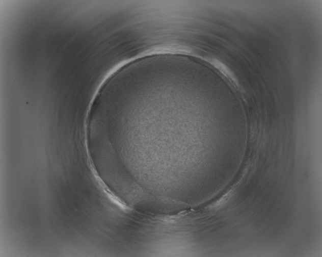 X0000067840854200604201239