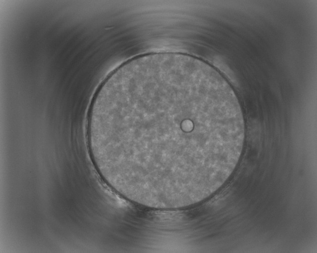 X0000067840856200604201240