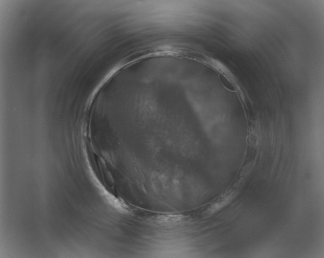 X0000067840859200604201240