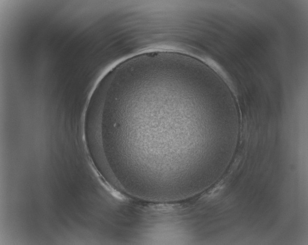 X0000067840862200604201240