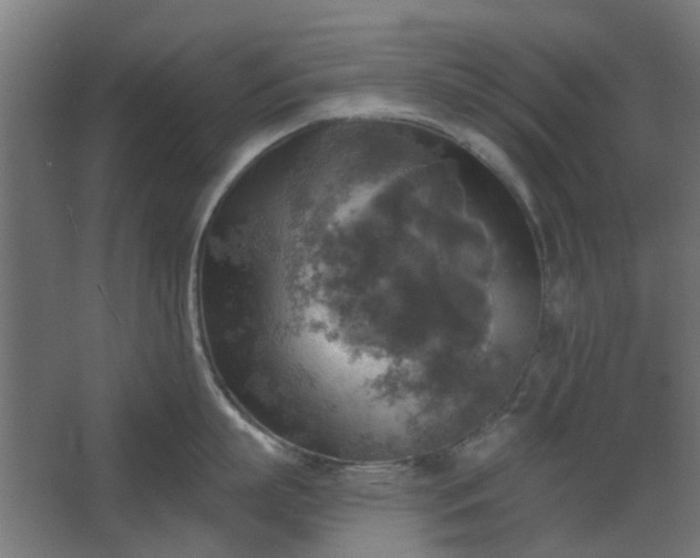 X0000067840863200604201240