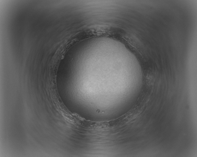 X0000067840865200604201239