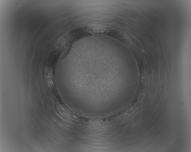 X0000067840866200604201239