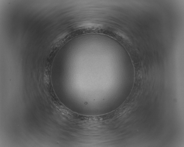 X0000067840869200604201239