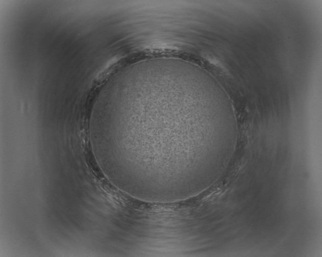 X0000067840870200604201239