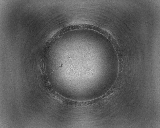 X0000067840871200604201239