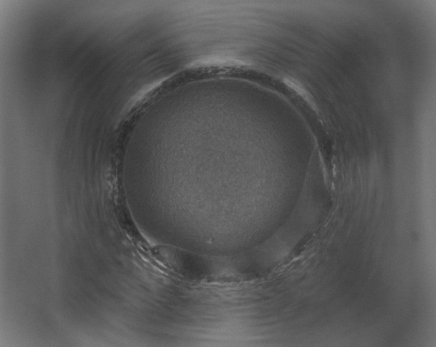 X0000067840872200604201239