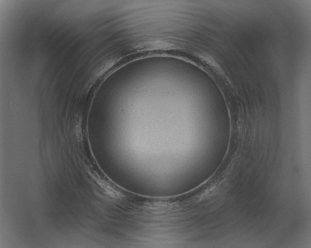 X0000067840873200604201239