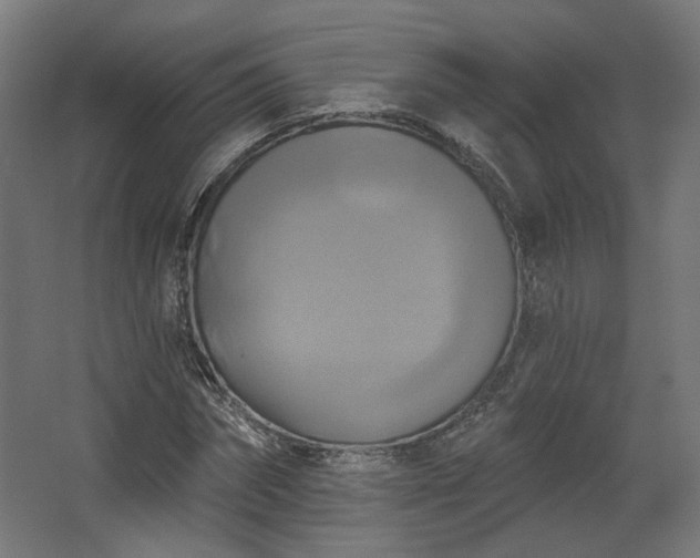 X0000067840874200604201239