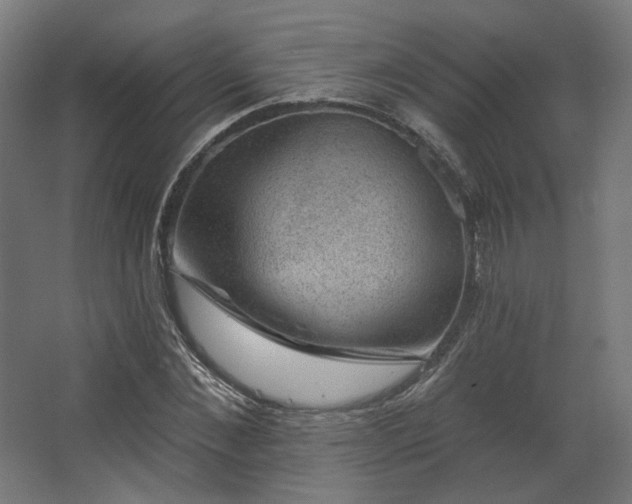 X0000067840876200604201239