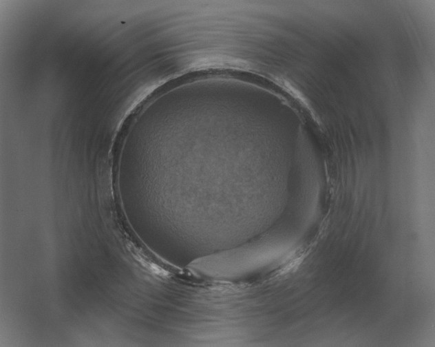 X0000067840877200604201239