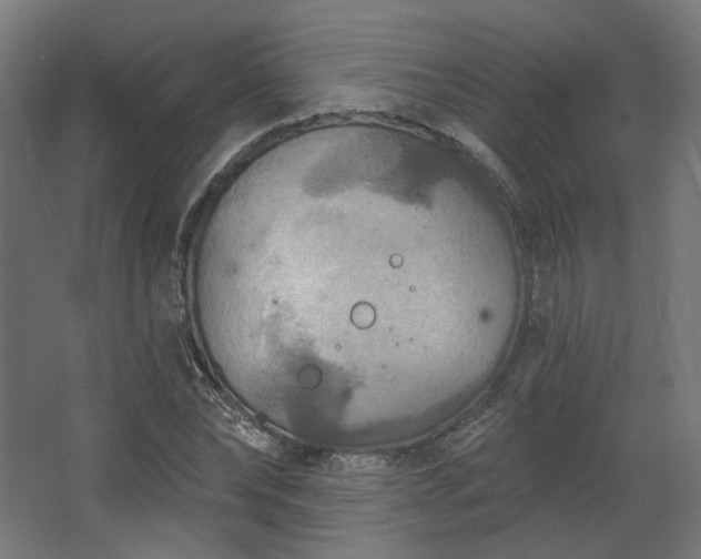 X0000067840878200604201239