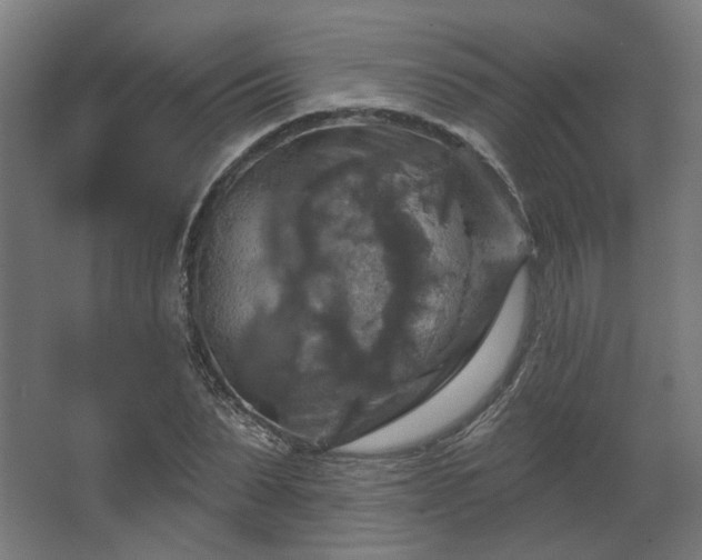 X0000067840879200604201239