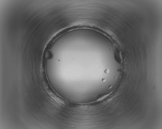 X0000067840880200604201239