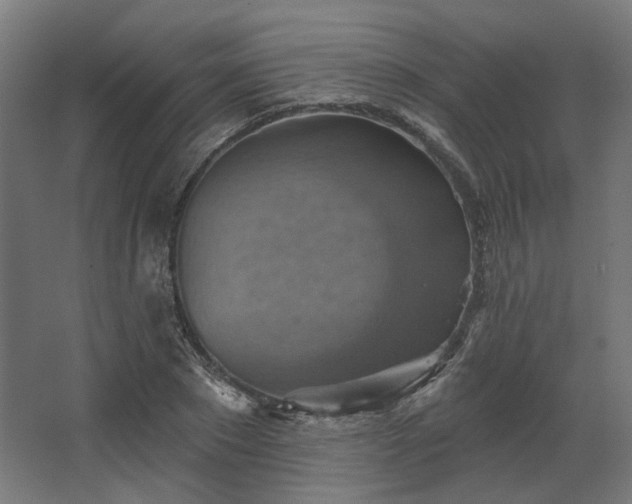 X0000067840881200604201239