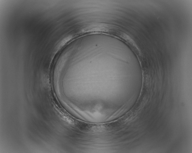 X0000067840882200604201239