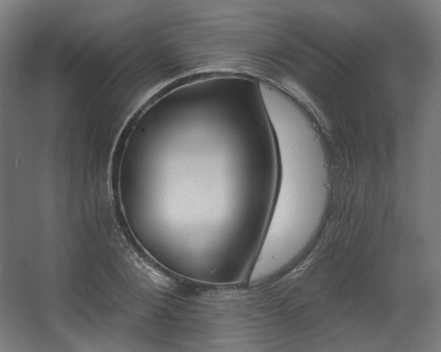 X0000067840884200604201239