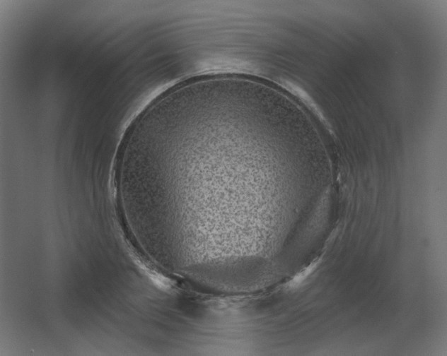 X0000067840885200604201238