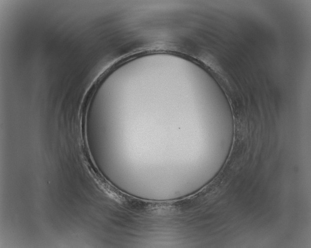 X0000067840886200604201238