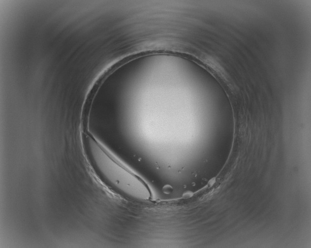 X0000067840888200604201238