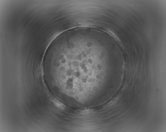 X0000067840891200604201238