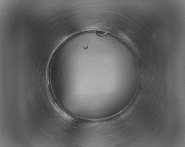 X0000067840892200604201238