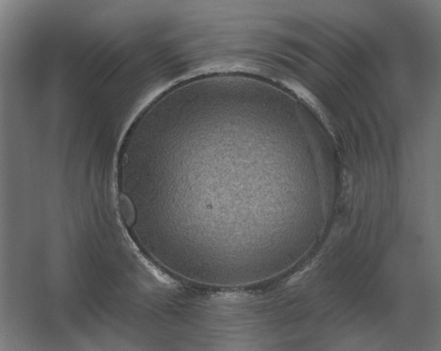 X0000067840894200604201238