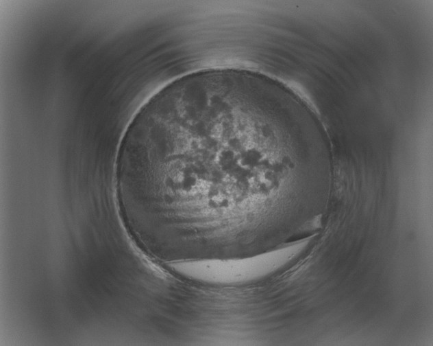 X0000067840895200604201238