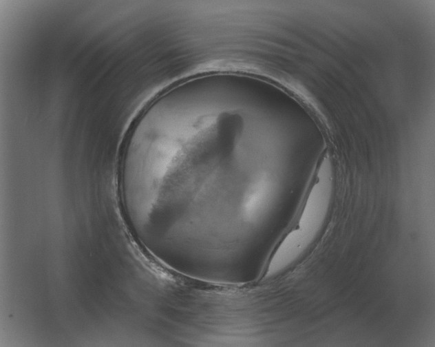 X0000067840896200604201238