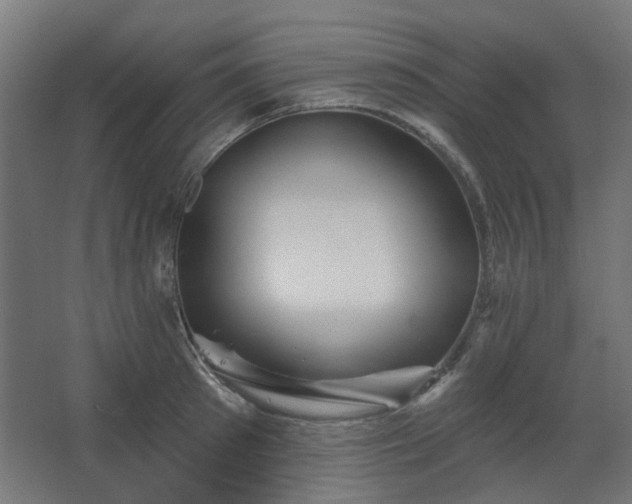 X0000067840897200604201238