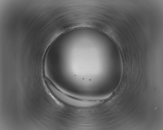 X0000067840898200604201238