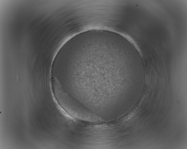 X0000067840903200604201238