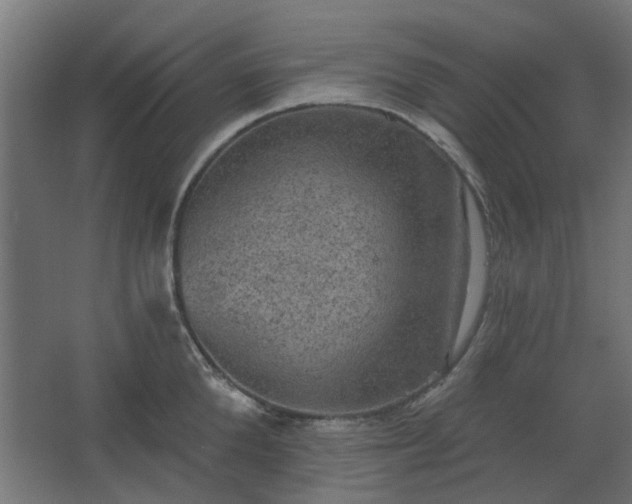 X0000067840904200604201238