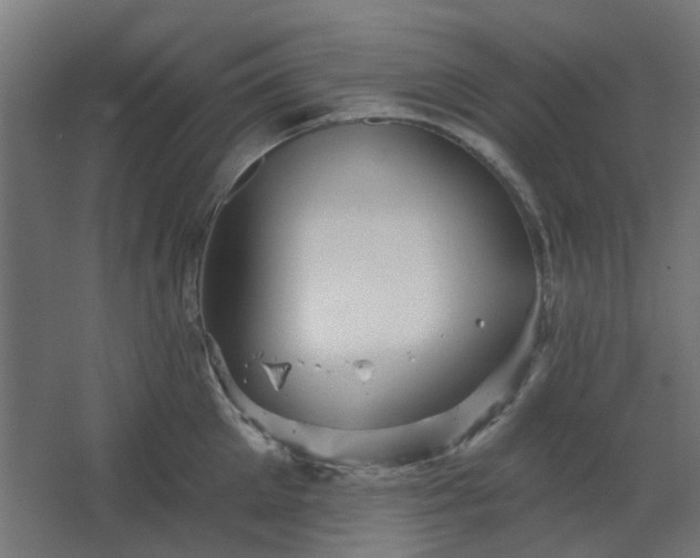 X0000067840905200604201238