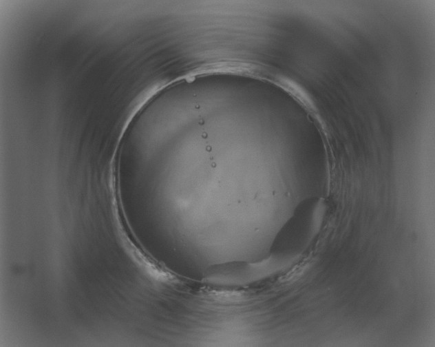 X0000067840907200604201238