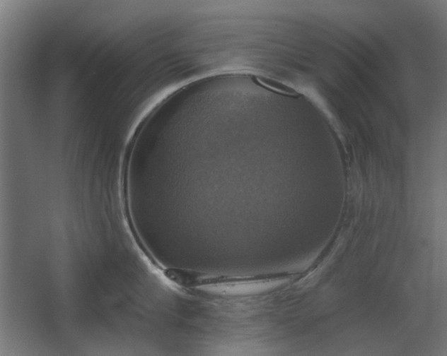 X0000067840910200604201238