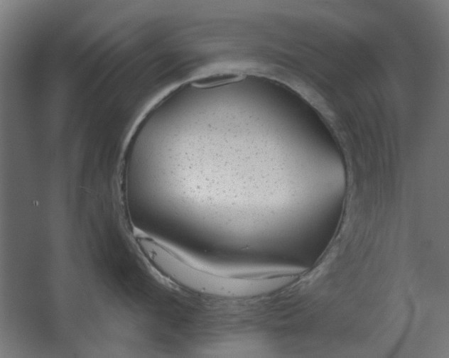 X0000067840912200604201238