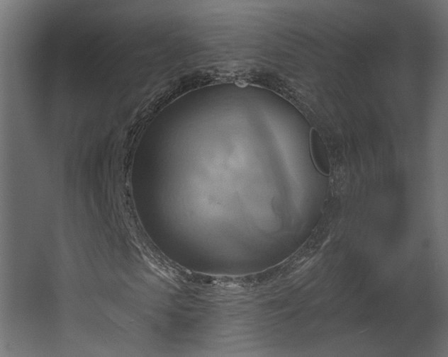 X0000067840913200604201237