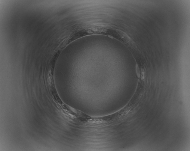 X0000067840915200604201237