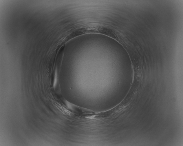 X0000067840916200604201237