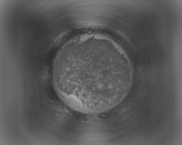 X0000067840918200604201237